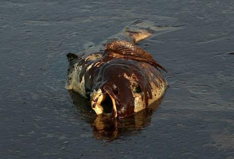 2010-06-14-oil-spill-09.jpg